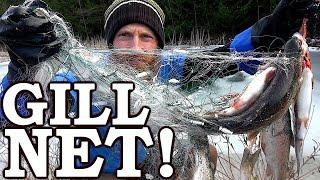 Testing Cheap Amazon Survival Gill Net (Usually ILLEGAL!) | Rare Underwater Footage