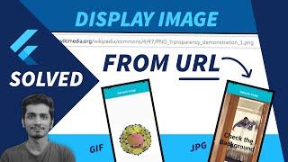 Flutter - How to Display Image from URL | Internet | Network | Flutter Display Image from Path