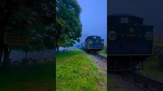 Mettupalayam - Ooty Toy Train . Starts at 07:10 a.m. Price 275₹(2S) . Best time Dec-May #ooty