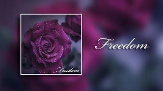 Mad Steex - Freedom (Video Promo)