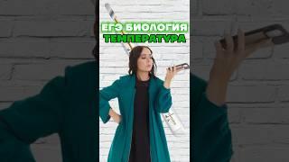 температура тела #биологияегэ #биология #умскул #жаннаказанская