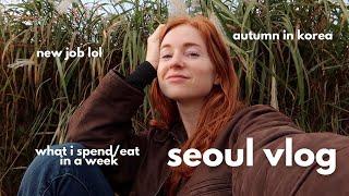  how much i spend and eat in a week in seoul, korea  cooking at home, a newish job, autumn vlog