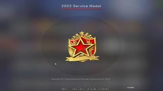 Getting 2022 Tier 6 Service Medal in CS:GO