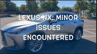 2024 Lexus NX 350h - 12 Minor Issues Encountered