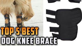 Top 5 Best Dog Knee Brace on AliExpress