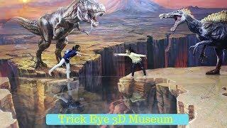 3D MUSEUM  FUN at Trick Eye Museum