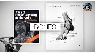 Atlas of Human Anatomy for the Artist | Stephen Rogers Peck | Book Scroll-Through: Bones | Stellar!