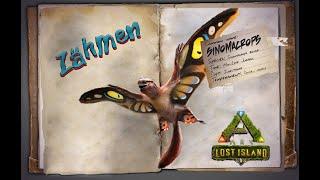 ARK Lost Island [GUIDE/Deutsch] ** Sinomacrops zähmen & Tipps **