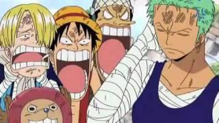 One Piece -Zoro baka marimo-