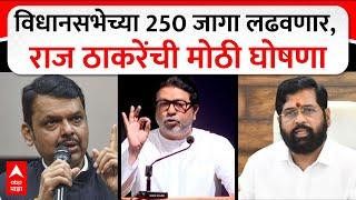 Raj Thackeray on Vidhan Sabha : विधानसभेच्या 250 जागा लढवणार, राज ठाकरेंची मोठी घोषणा
