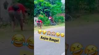 vidio Lucu TikTok  Bikin Ngakak