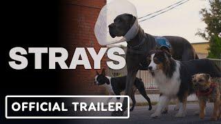 Strays - Official Red Band Trailer (2023) Will Ferrell, Jamie Fox, Randall Park