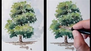 Pintando un árbol a la acuarela. Paso a paso. How to paint watercolor, a tree for beginners.