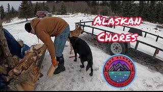 Off Grid Alaska Chores Around the Homestead | Falling on Ice