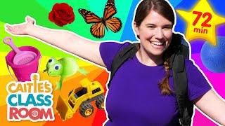 Learn Colors & More! | Caitie's Classroom Field Trips | Toddler Learning