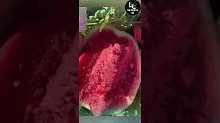 Farm fresh ninja fruit cutting #50 | Ly Chynh St  #shorts