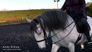 How to Safely Massage (Frightened) Horses - Expert Tips from Andy Eckley