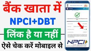 NPCI Link to Bank Account | aadhar bank link status check | DBT/NPCI bank account mapping status