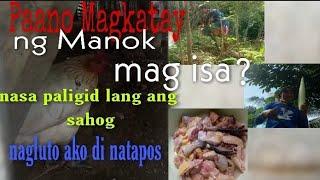 paano magkatay ng manok mag isa? nasa paligid lang ang sahog