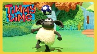 Timmy Plays Ball  | Timmy Time