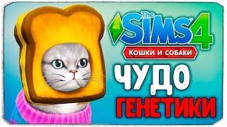 ЧУДО ГЕНЕТИКИ, КОШКИ - The Sims 4 "Кошки и Собаки"