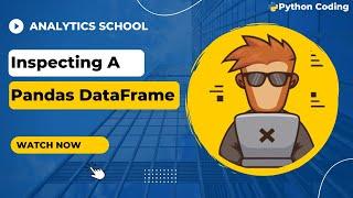Inspecting A Pandas DataFrame