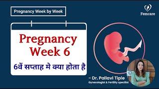 6th week of Pregnancy -Pregnancy week by week in hindi | गर्भावस्था का छठा सप्ताह