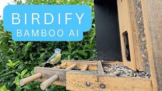 Luxus für Vogelliebhaber - Birdify Feeder Bambus AI Erfahrungsbericht | TechnikLoft