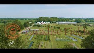 Welcome to Paradise Fields