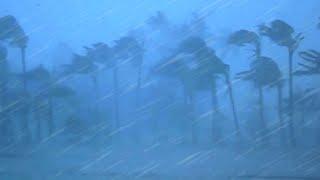 Beat Insomnia with with Terrible Hurricane | Strong Wind and Heavy Rain Breaking Trees |  10 Hours