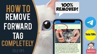 How To Remove Telegram File Forward Tag/Name Completely | Latest Full Tutorial