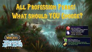 ALL WOTLK Professions - Overview & Perks Guide