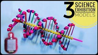 3 Easy DNA MODEL PROJECT Ideas | Science Exhibition Models |