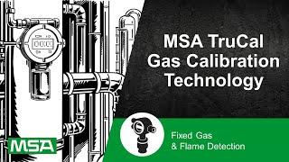 MSA TruCal Gas Calibration Technology