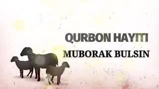 Qurbon hayitingiz muborak bo'lsin 