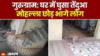 Gurugram के घर में घुसा Leopard, वन विभाग की टीम पर किया Attack, Colony में दहशत | Hindi News