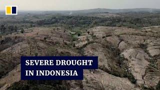 Indonesian villagers trek for murky water with early arrival of severe drought