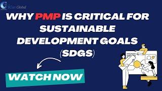 Why PMP is Critical for Sustainable Development Goals (SDGs) | iCert Global