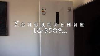 Перевес дверей холодильника LG-B509...Oversize the door of the refrigerator LG-B509 ...