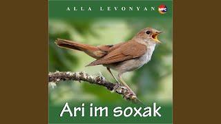 Ari Im Soxak