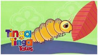 Why is Caterpillar Never in a Hurry? | Tinga Tinga Tales Official | Cartoons for Kids