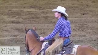 2017 Calgary Stampede Working Cow Horse Classic - Open Bridle Winner