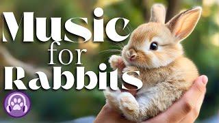 Magic Music for Rabbits - Instantly Soothing Anti-Anxiety Lullabies 