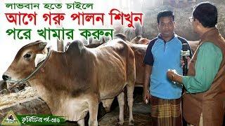 Krishichitra 346, আগে গরু পালন শিখুন, পড়ে গরুর খামার শুরু করুন ।Cow Farm in Bangladesh