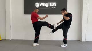 Tan Gerk and Bong Gerk against low Kicks #wingtsun #wingchun #Sifumohammedince #wingtsunacademy