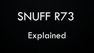 SNUFF R73 EXPLAINED AND DEBUNKED - What Is It? What Does It Include?