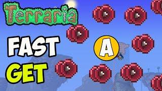 Terraria How To Get FORMAT C FAST (2024)