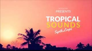 Tropical House - Sample Pack