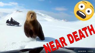 NEAR DEATH ANIMAL ENCOUNTERS COMPILATION captured by GoPro