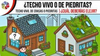  TECHO de PIEDRITAS o TECHO VIVO  ¿Cuál elegir? - Techo de PIEDRITAS vs CRASAS vs SILVESTRE